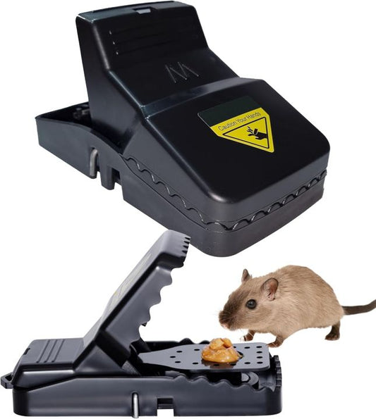 Rat Trap (Pack of 2)