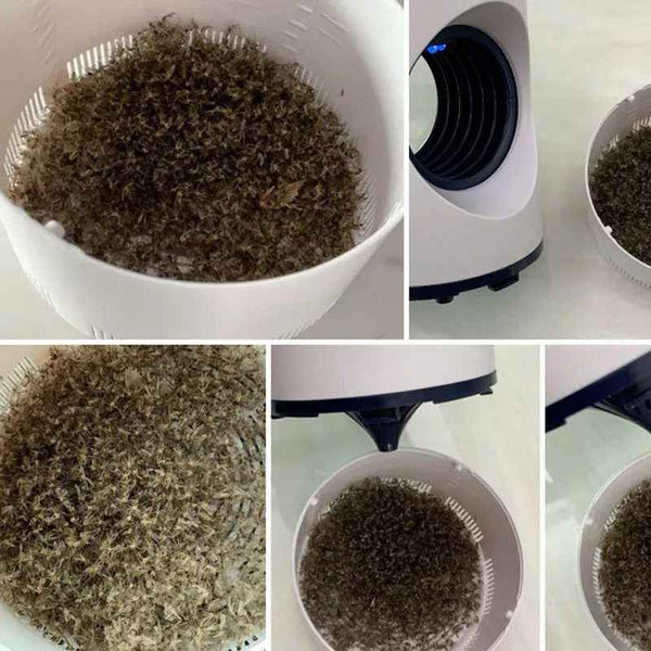 UV Mosquito Killer Lamp – Safe & Effective Insect Control